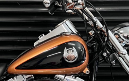 Harley-Davidson 105th Anniversary Black Paint Product